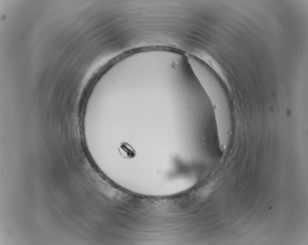 X0000077401072200611172058