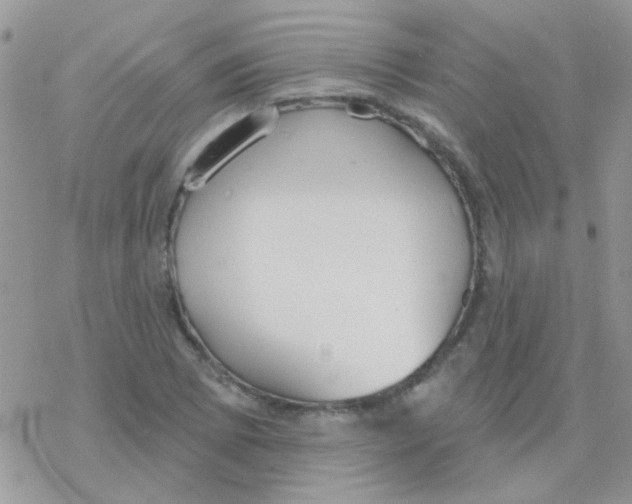 X0000077401073200611172058