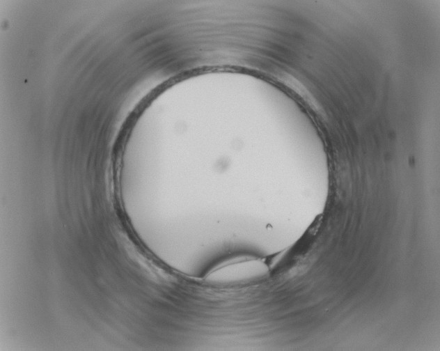 X0000077401076200611172058