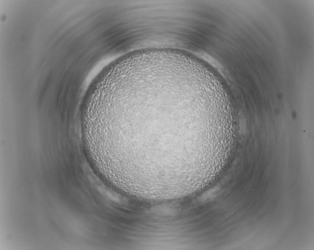 X0000077401078200611172058