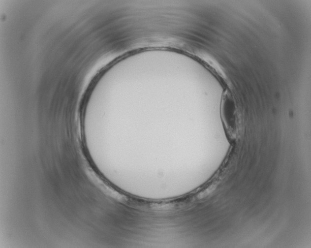 X0000077401080200611172058