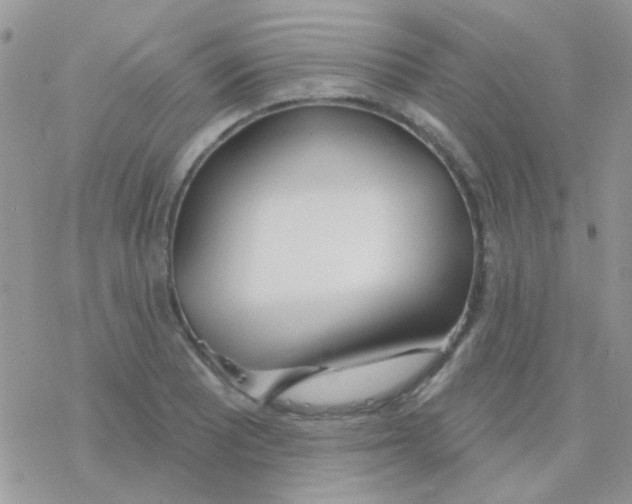 X0000077401081200611172058