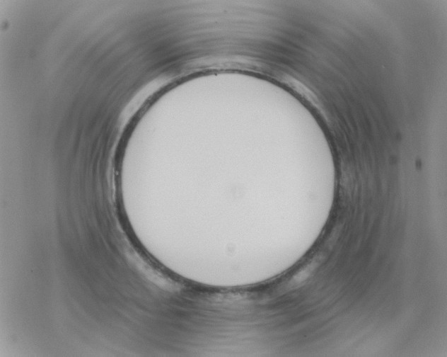 X0000077401082200611172058