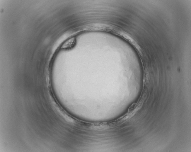 X0000077401083200611172058