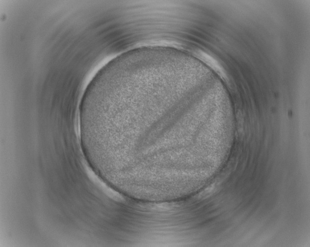 X0000077401084200611172058