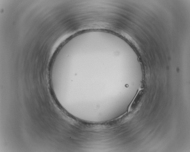 X0000077401085200611172058