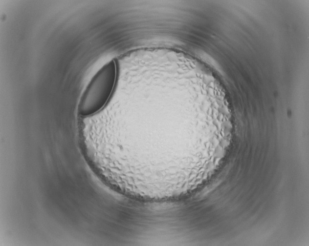 X0000077401087200611172058