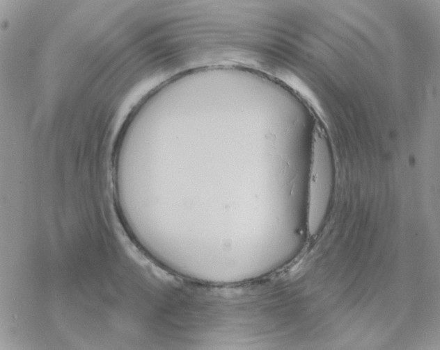 X0000077401088200611172058