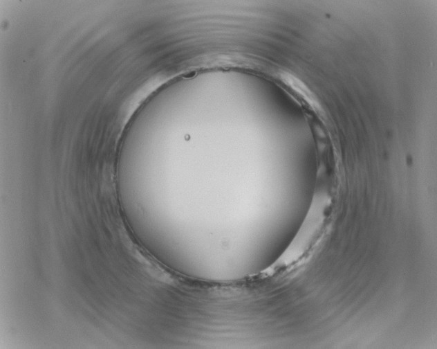 X0000077401089200611172058