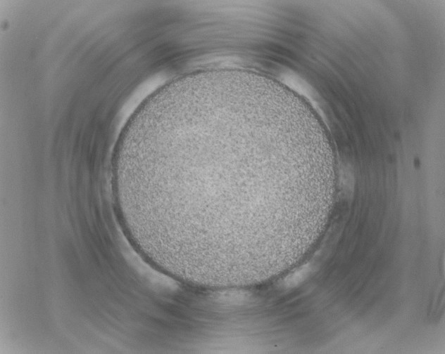 X0000077401090200611172058