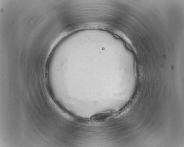 X0000077401091200611172058