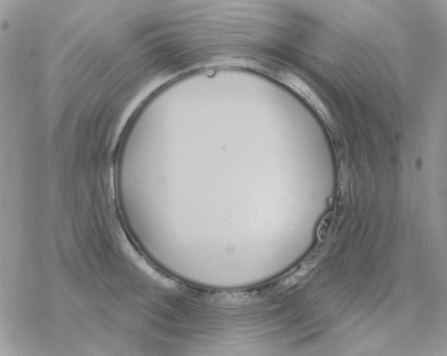 X0000077401092200611172058