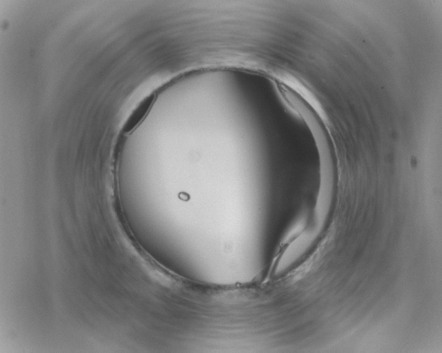 X0000077401093200611172058