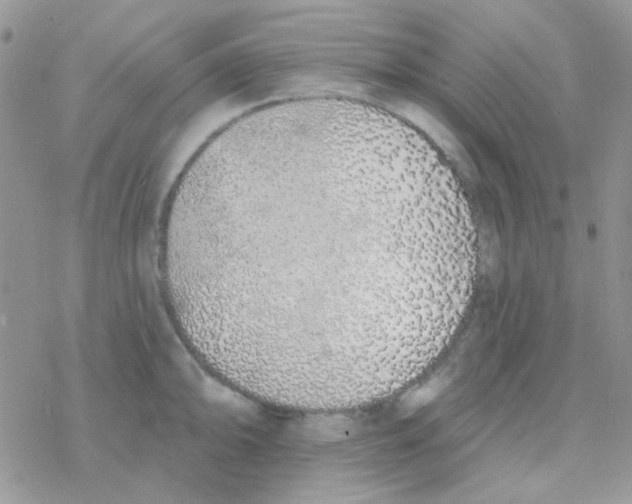 X0000077401094200611172058