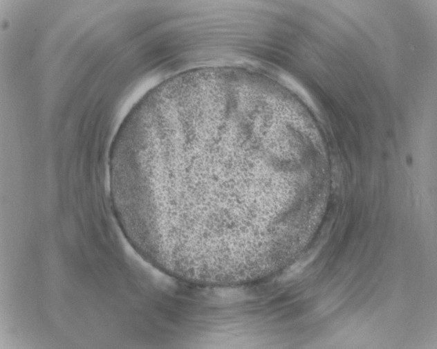 X0000077401095200611172058