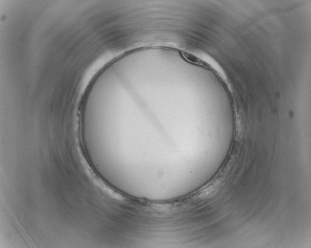 X0000077401096200611172058