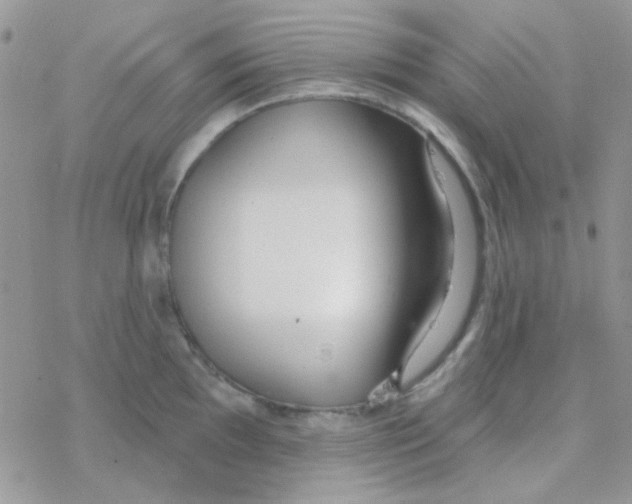 X0000077401097200611172058