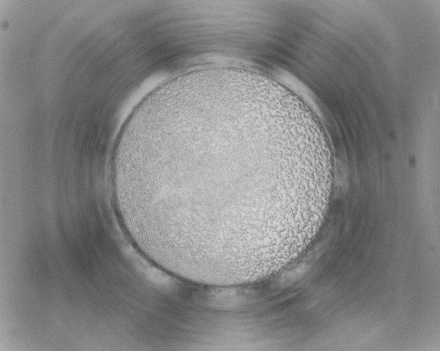 X0000077401098200611172058