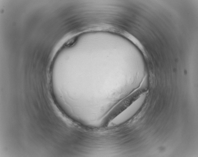 X0000077401099200611172058