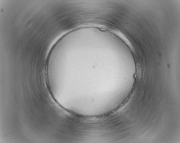 X0000077401100200611172058