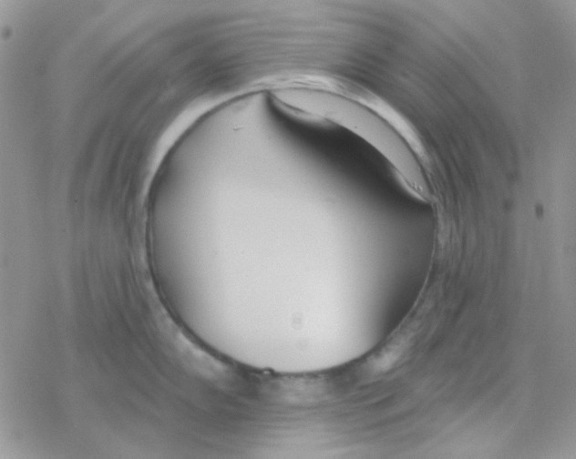 X0000077401102200611172058