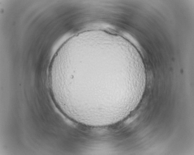 X0000077401103200611172058