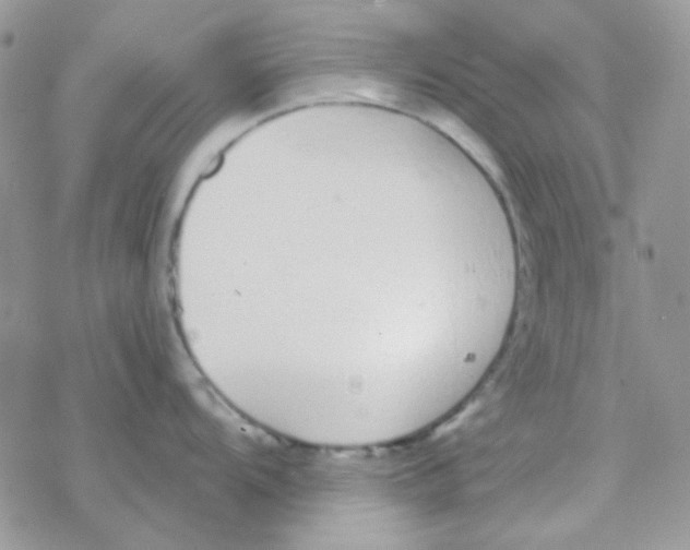 X0000077401104200611172058