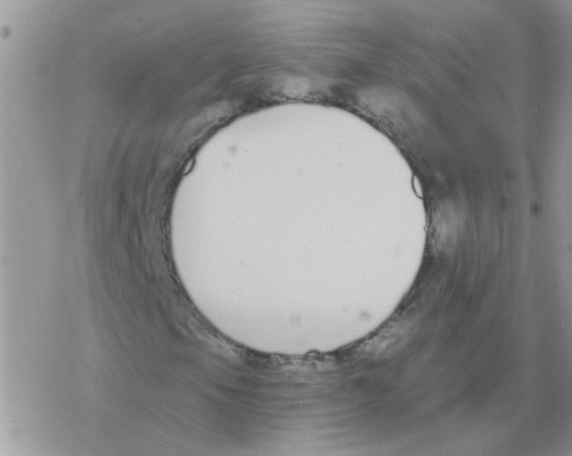 X0000077401105200611172057