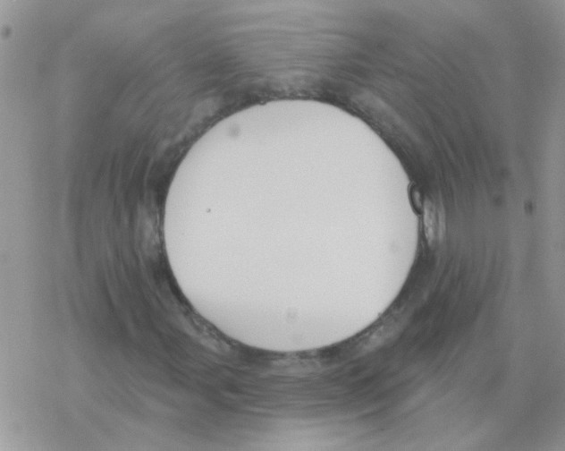 X0000077401107200611172057