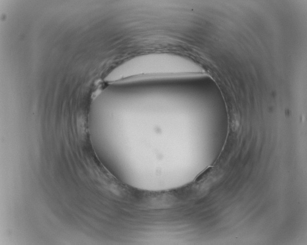 X0000077401108200611172057