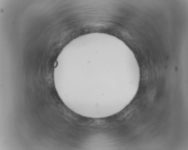 X0000077401109200611172057