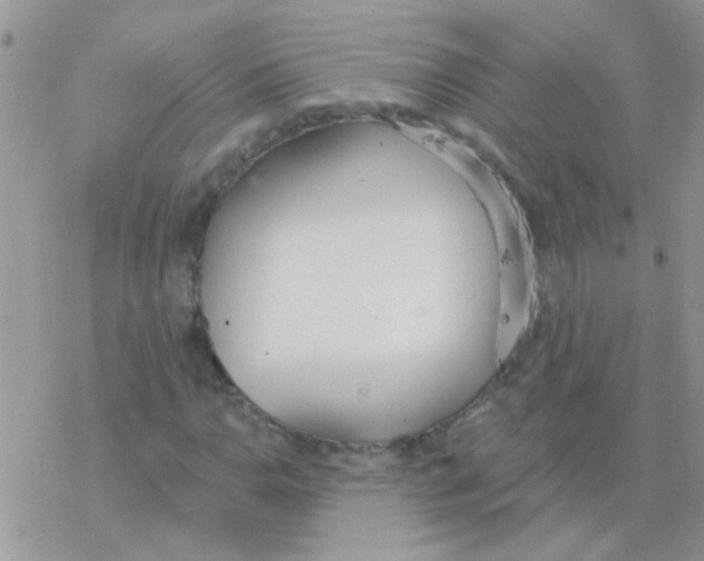 X0000077401110200611172057