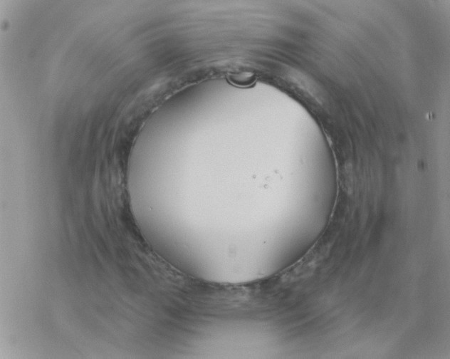 X0000077401111200611172057