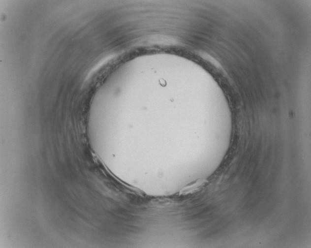 X0000077401112200611172057