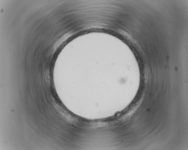 X0000077401113200611172057