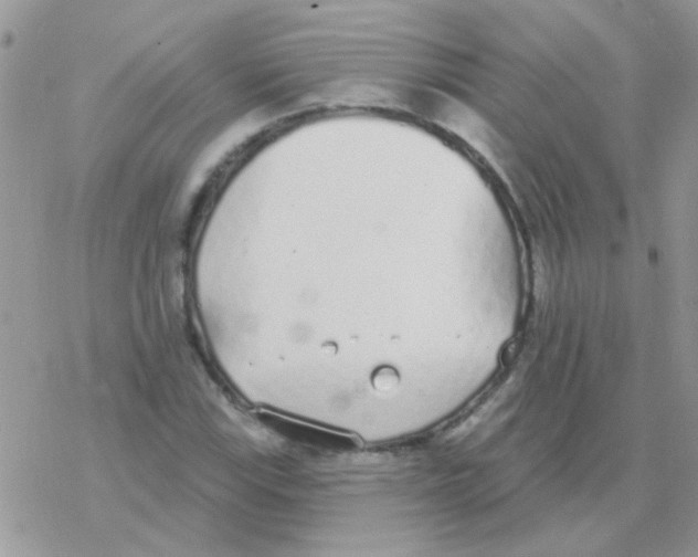 X0000077401115200611172057