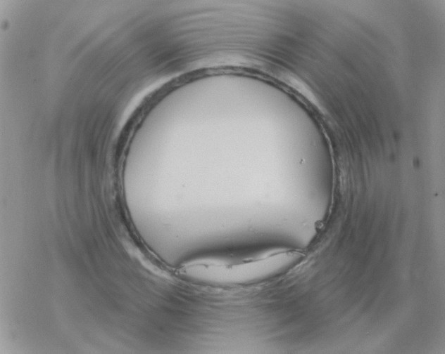 X0000077401116200611172057