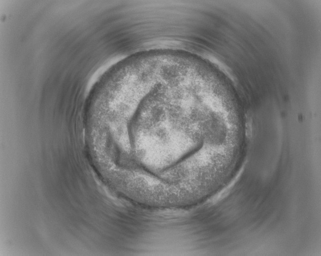 X0000077401117200611172057