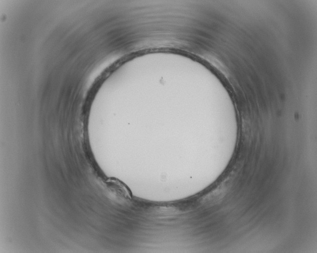 X0000077401119200611172057