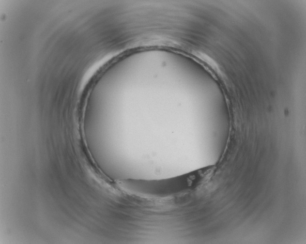 X0000077401120200611172057