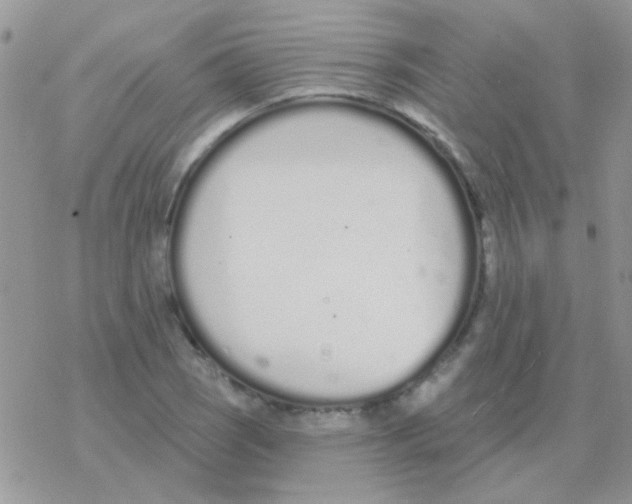 X0000077401121200611172057