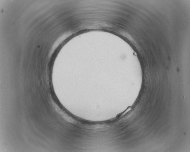 X0000077401122200611172057