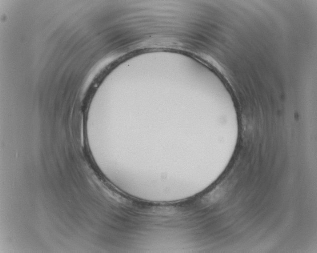 X0000077401123200611172057