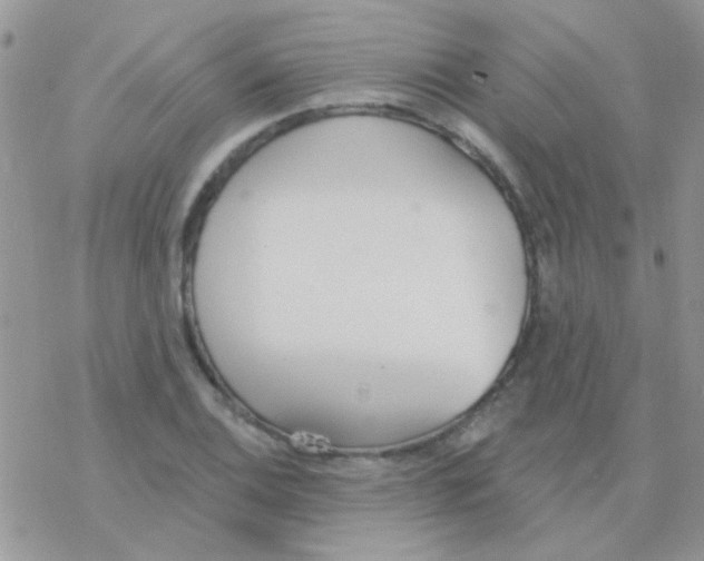 X0000077401124200611172057