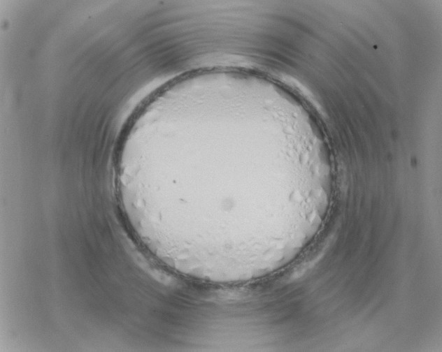 X0000077401125200611172057