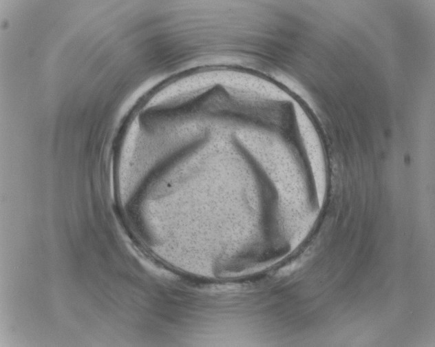 X0000077401127200611172057