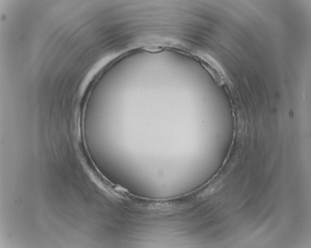 X0000077401128200611172057