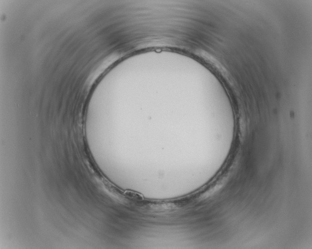 X0000077401129200611172057