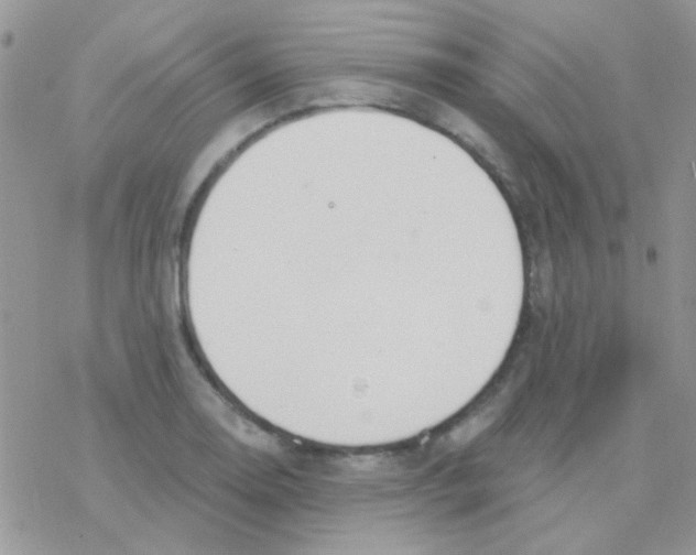 X0000077401130200611172057