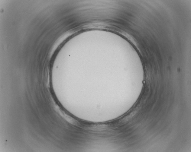 X0000077401131200611172057